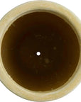 Emissary Rim Round Planter