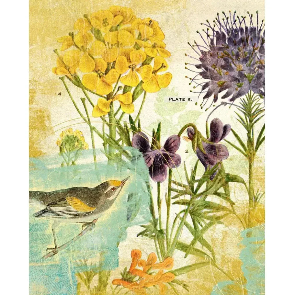 LOOMLAN Second Bird the Garden Artwork d Canvas Floating
