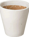 Emissary Tapered Round Ceramic Planter