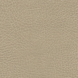Brisa Chamois