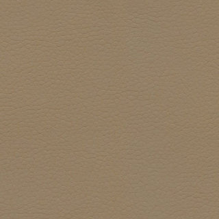 Coast Savanna